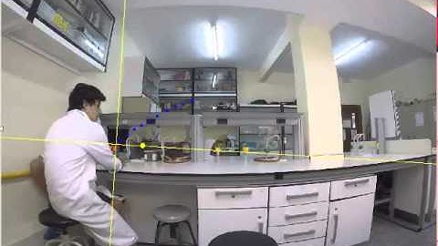 Angle of release 45º: Logger Pro