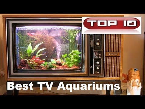 Video: Come Realizzare Un Acquario Da Una Vecchia TV Con Le Tue Mani