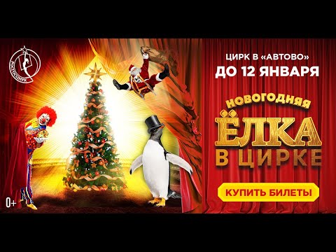 цирк новогодняя елка афиша. цирк автово новогодняя программа. елка в цирке. елка в цирке автово. новогодняя сказка в цирке автово.