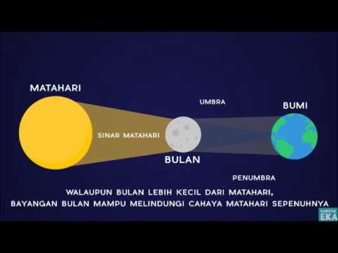 Video: Bagaimana Cara Bertahan Dari Gerhana Matahari