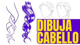 8 reglas para dibujar cabello I Anatomía para artistas I Venegas Arte