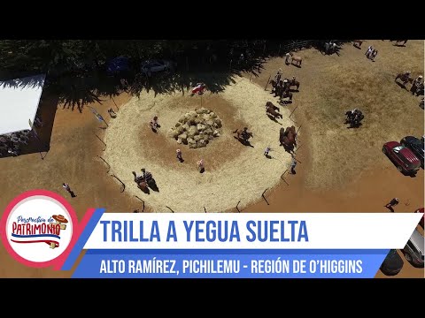 Perspectiva de Patrimonio — Trilla a Yegua Suelta (Alto Ramírez, Pichilemu)