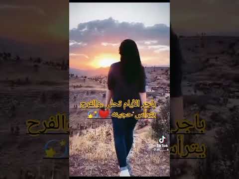 باجر شمسنا تعود