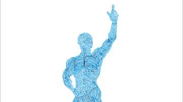 The Importance of Fascia and the Fascial System with Neurologic Interactions