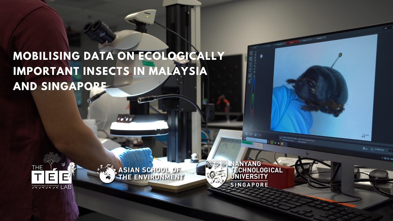 Mobilising Biodiversity Data on Sabah’s Dung Beetles