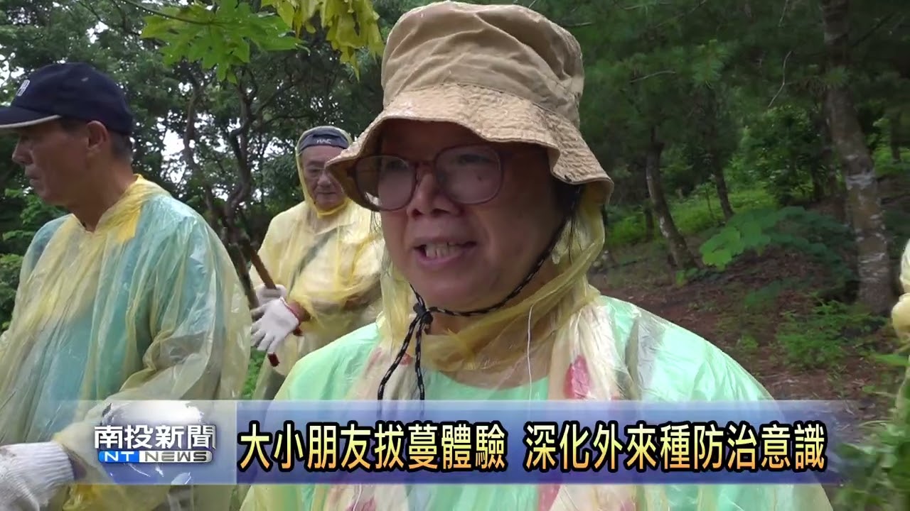 大小朋友拔蔓體驗 深化外來種防治意識 南投新聞 縮圖