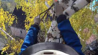 Арбористика техника работы на деревьях от первого лица