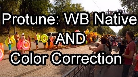 GoPro Hero4 Silver 2.7k 24fps / Protune: WB Native / Color Correction Testing