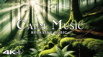 Calm Music & Beautiful Nature in 4K. Beautiful Relaxing Music for Stress Relief