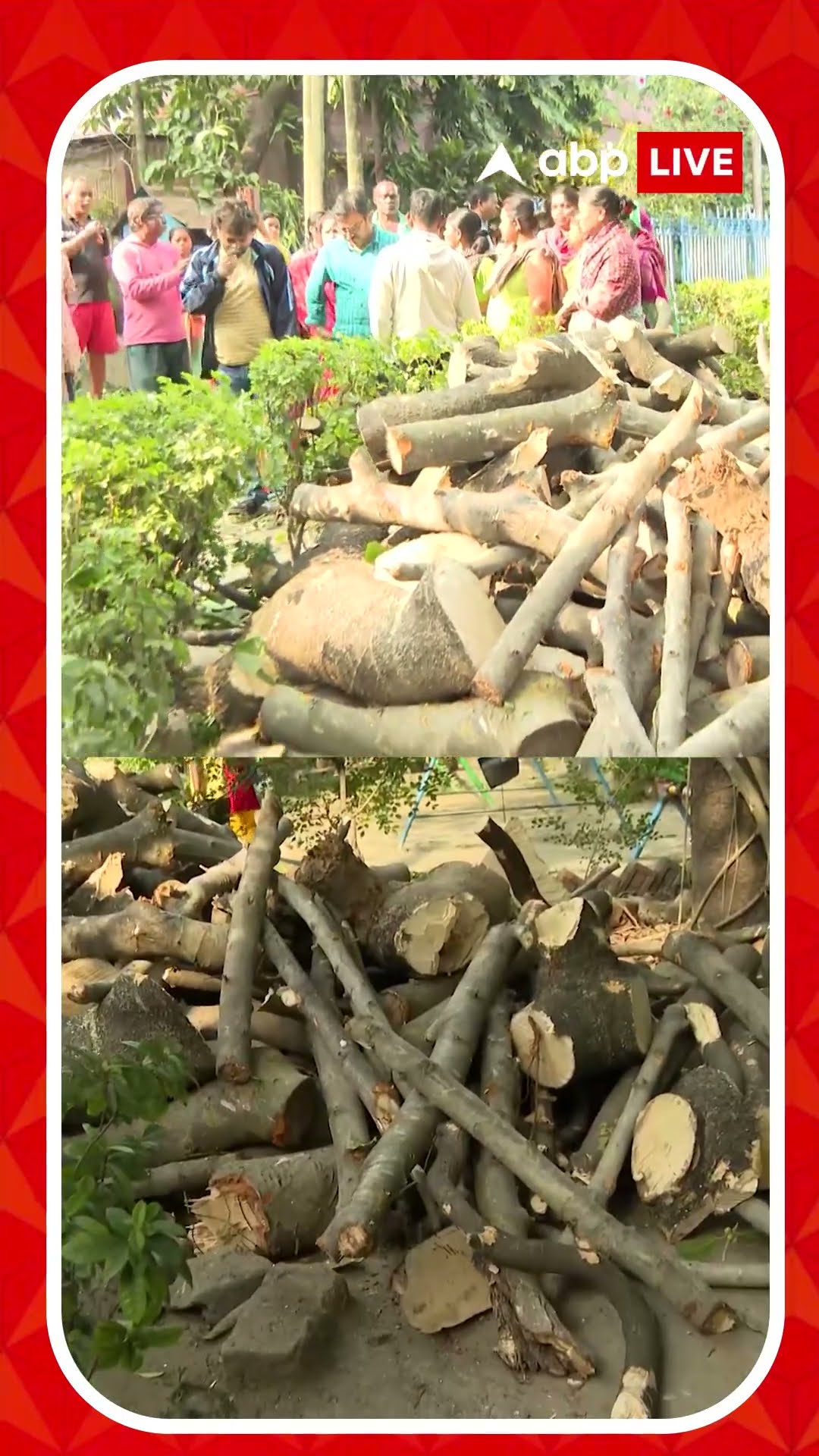 বছরের প্রথমদিনেই শাসকের গুন্ডাগিরির অভিযোগ ! কসবায় গাছ কাটার প্রতিরোধে বৃদ্ধের উপর হামলা।