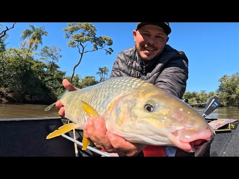 Pescaria O Peixe Mais Briguento do Rio! Piaparas Brutas e Almoço com Peixe Frito! 😱