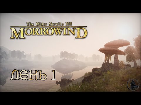 The Elder Scrolls III: Morrowind. Прохождение. Узник (часть 1)