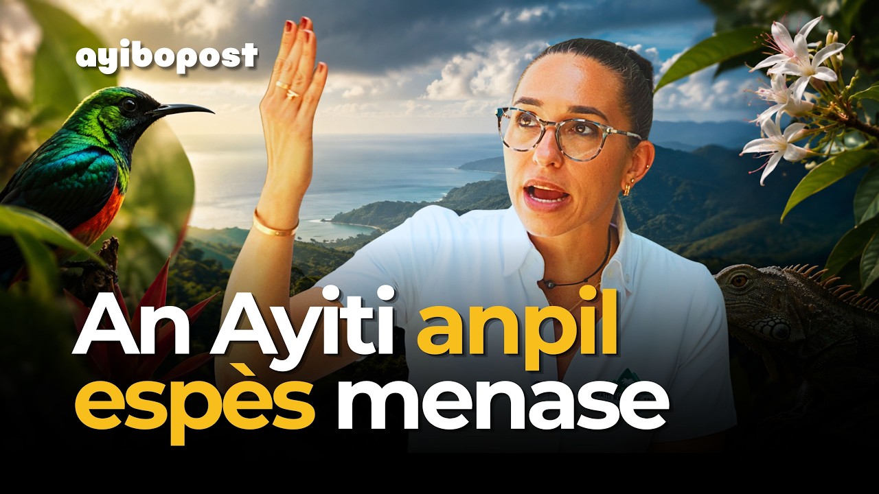 Ayiti ap pèdi yon richès nou poko menm fin dekouvri