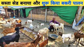 55 की उम्र में व्यवसाय का जोश | बकरी पालन में 6 महीने का अनुभव | Goat farming in hindi