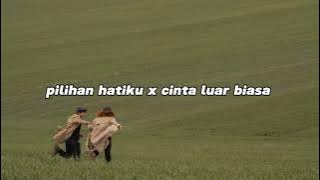 pilihan hatiku x cinta luar biasa (tiktok version)