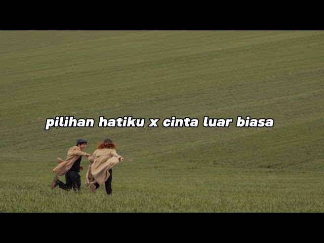 pilihan hatiku x cinta luar biasa (tiktok version) class=