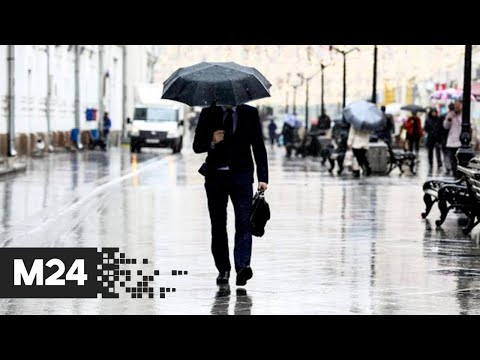 Погода в Москве: пойдут первые весенние небольшие дожди
