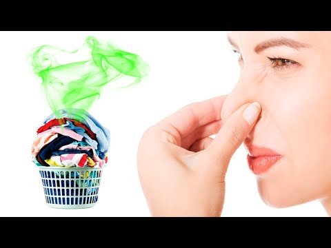 Как отстирать запах сырости с одежды