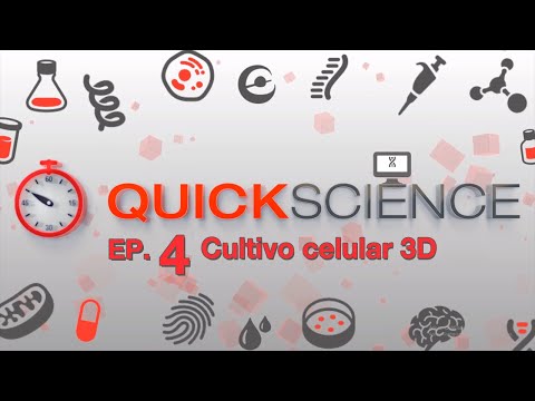 Vídeo: Diferencia Entre Cultivo Celular 2D Y 3D