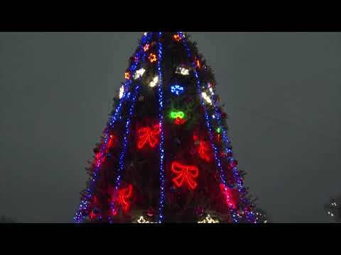 В Павлограде зажглась новогодняя ёлка