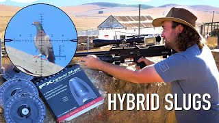 New HYBRID Slugs | Review & First Hunt!