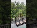 Kawi resort ubud bali  refresh banget  baliubudkawiresorthotelbalibali