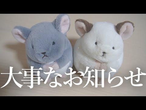 [Chinchilla] Important Notice