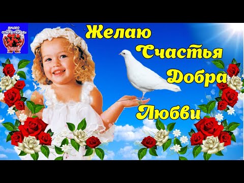 С Днем Доброты! Желаю Счастья, Добра, Любви! Красивое пожелание добра! Музыкальная открытка!