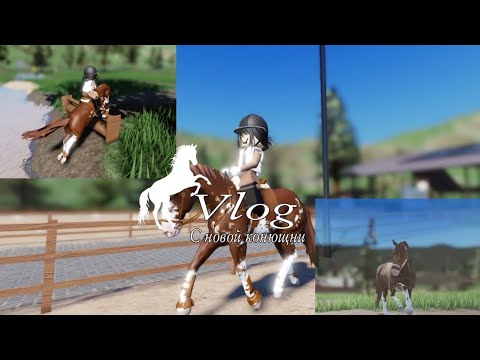 Видео: Влог с новой конюшни, перевозка лошадей, о новой лошади/rrp/ strideway/