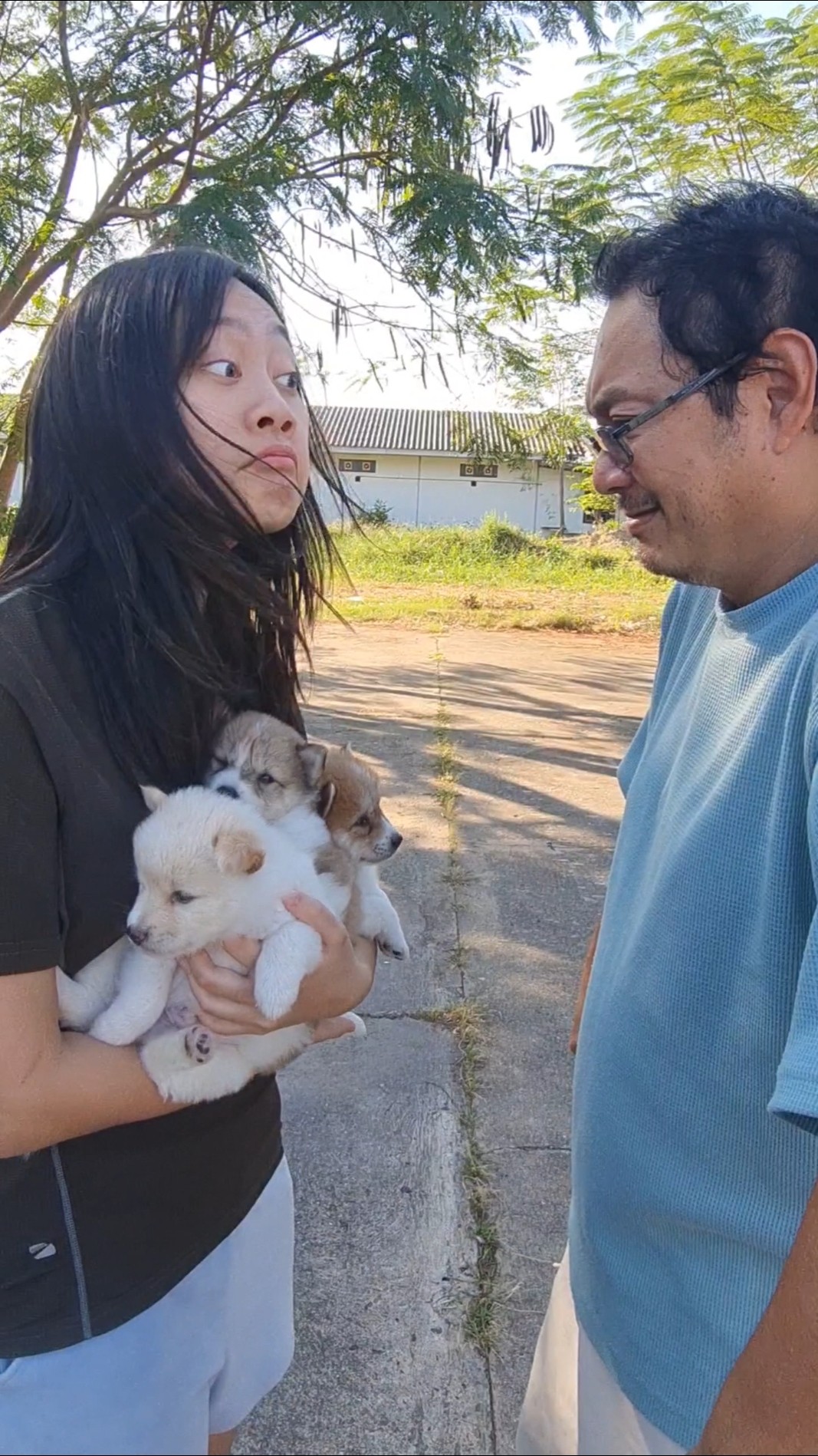 Too Smart BOy‼️ and Puppies?  | JJaiPan #Shorts #funnydogs