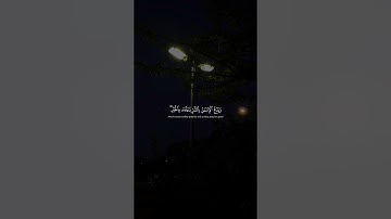 وَيَدعُ الإِنسانُ بِالشَّرِّ دُعاءَهُ بِالخَيرِ | محمد صديق المنشاوي | سورة الإسراء