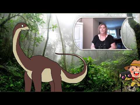 Video: Wat Was Die Dinosourusse?