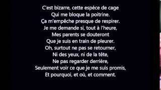 Michel Sardou - Je Vole Paroles/Lyrics chords