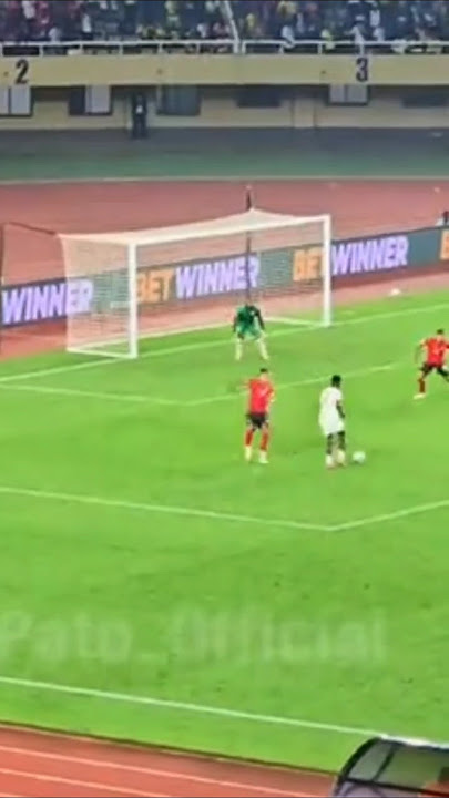 WE ARE THE UGANDA CRANES THEEM SONG