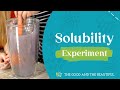 Water as a Universal Solvent Quiz