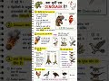 क्या मुर्गी एक DINOSAUR है?🐔 #braintest #braingames #education #mathpuzzle #apnipathshala #maths