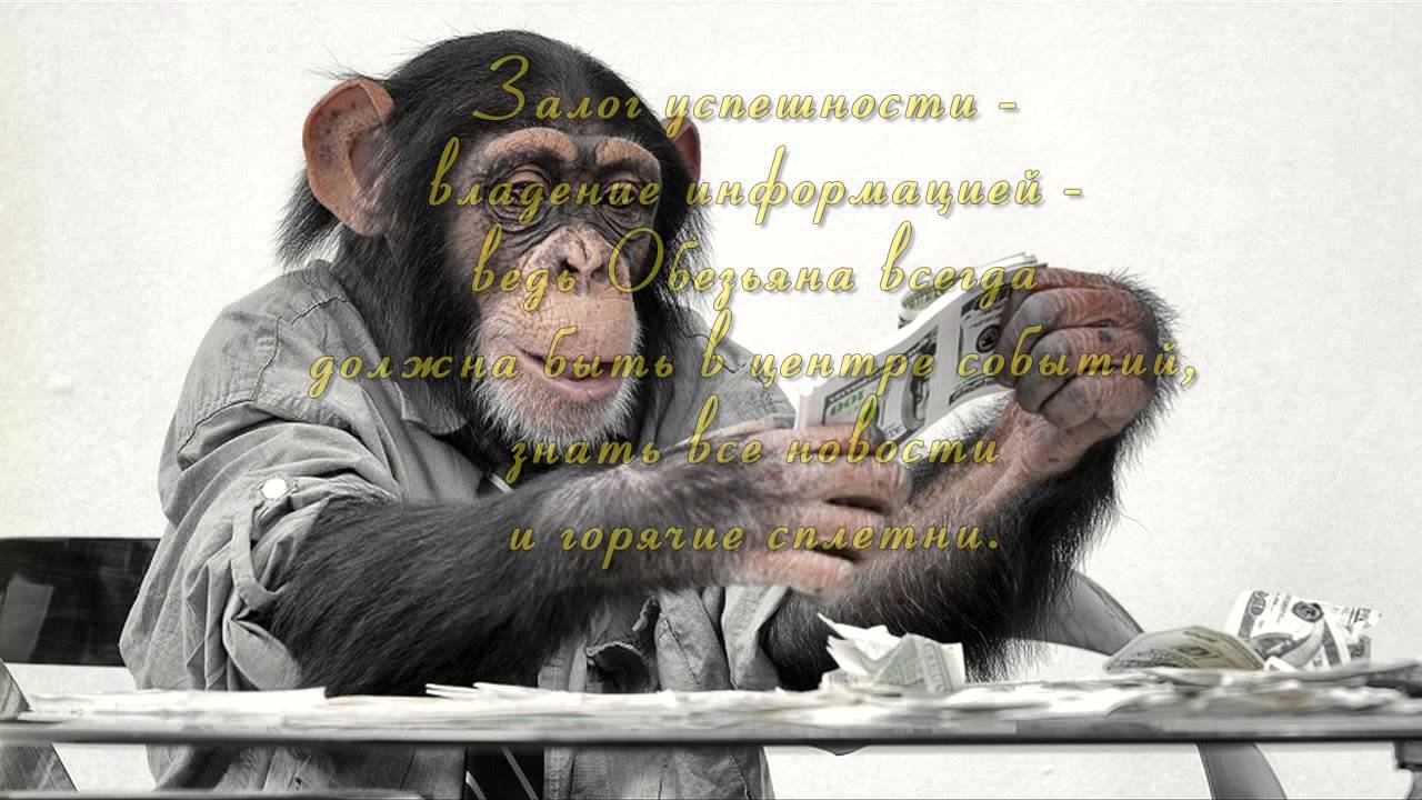 Что принесёт нам 2016 год, год Красной Обезьяны?