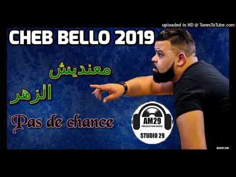 Clip Cheb Bello 2019 Pas De Chance الشاب بيلو 2019 يزلزلها من جديد الزهر معنديش
