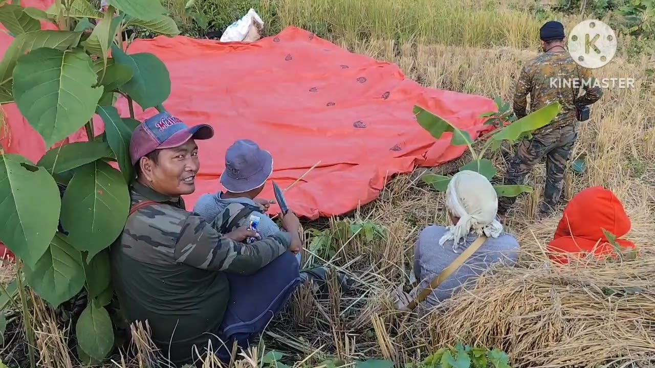 Date 15th,Oct 2025, Wednesday Nikhoa ka Housapu te changden nikho, THINGLHANG CHANGDEN SESSION 