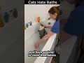 Why do Cats hate taking baths