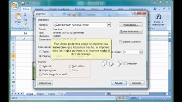 Excel 2007. 10.2.  Imprimir.