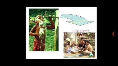 GDCD 7 - TUẦN 23 - BÀI 14 BẢO VỆ MÔI TRƯỜNG VÀ TÀI NGUYÊN THIÊN NHIÊN (TIẾT 2)