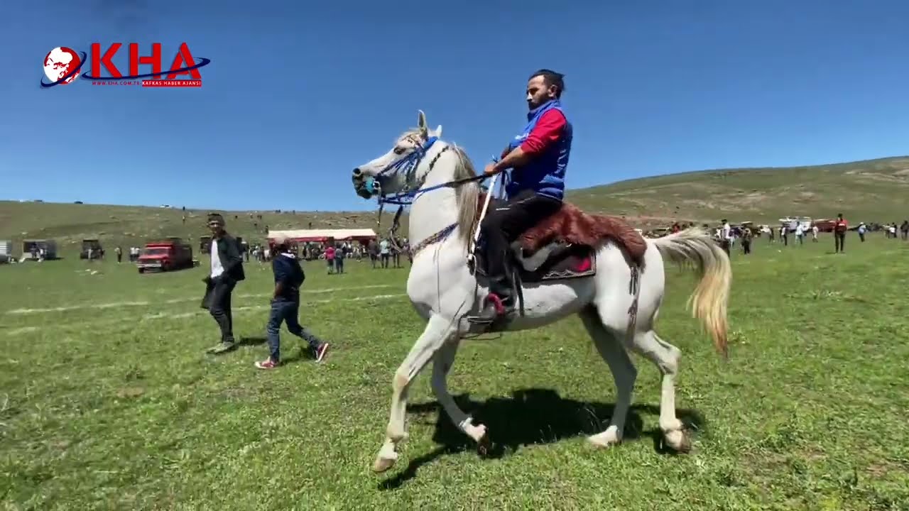 Bu at müzik çalınca yerinde duramıyor