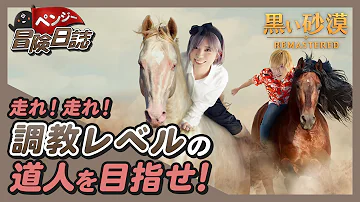 黒い砂漠 馬 組み合わせ 黒い砂漠 馬 組み合わせ