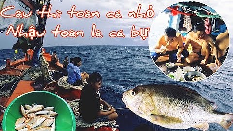 Trời giông mưa cá đổng ăn câu | Đánh cá 2024 - Tập 92 | Sóng biển Hứa Đông