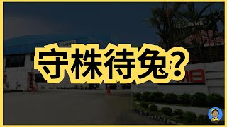 EPMB｜增长型小型股还是炒股？