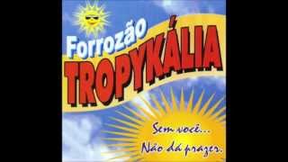 Video thumbnail of "Forrozão Tropykália - Não Dá Prazer"