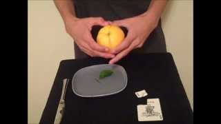 Learn How To Do David Blaine S Card In Lemon Trick Rebel Magic