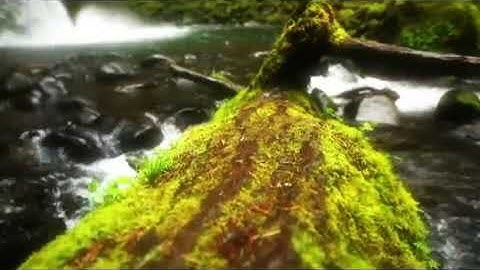 سورة المائدة من الأية 69 إلى الأية 74