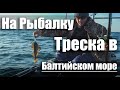 Ловля трески/Балтийское море/мыс Таран/На Рыбалку